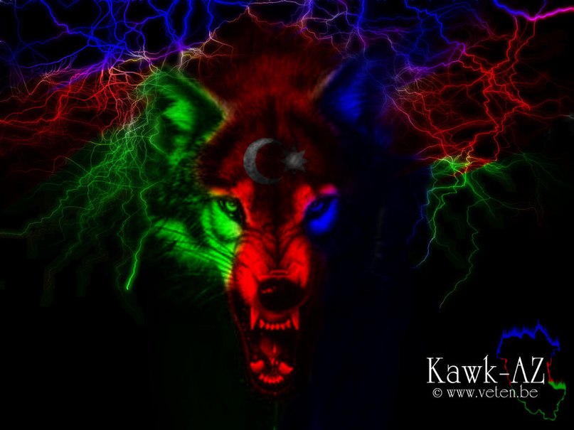 Хаким Гаджиев | Волгоград