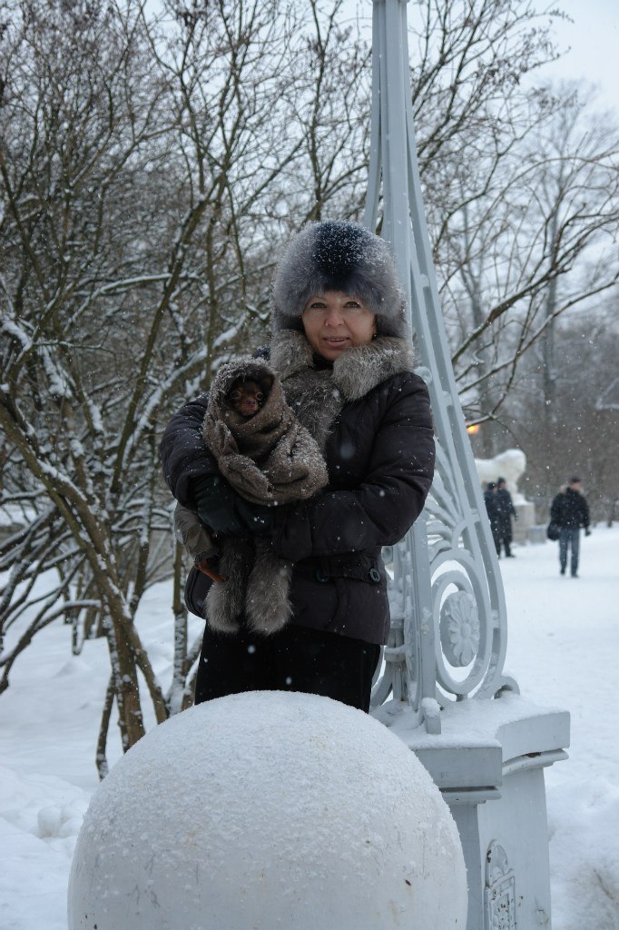 Светлана Корнилова | Санкт-Петербург