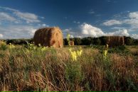 №3 Галина Белова 01.05.1990: профиль, фото, статус - ВКонтакте №3 Галина Белова 01.05.1990: профиль, фото, статус - ВКонтакте