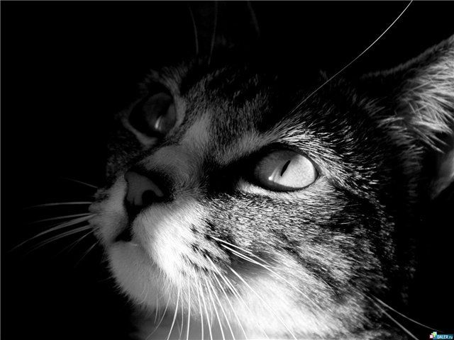 №73, Женечка Ходунова, Санкт-Петербург №73, Женечка Ходунова, Санкт-Петербург