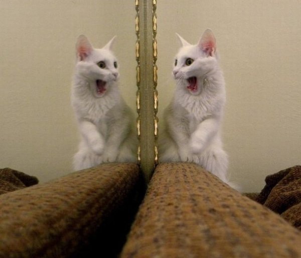 Вера Шиллер Анатольевна | Омск