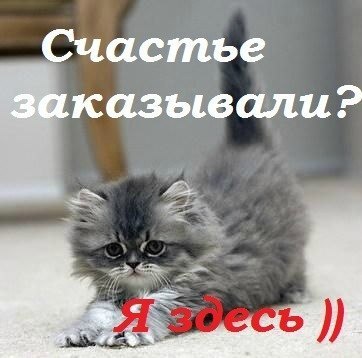 Света Макарова | Кириши (деревня)