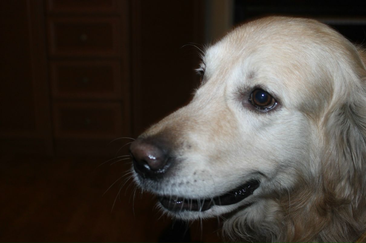 Ксения Проскурякова | Москва