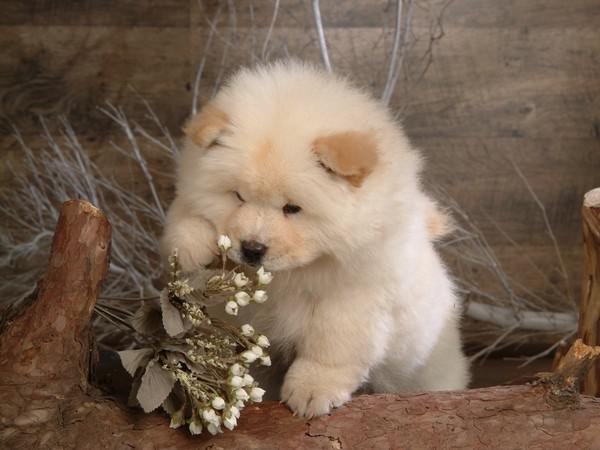 Вера Мужикова | Вельск