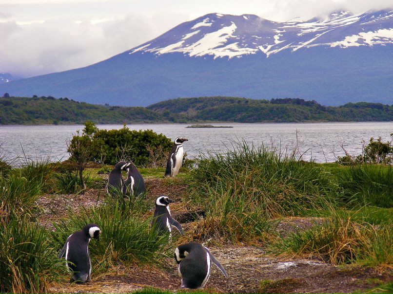 Иван Павлов | Санкт-Петербург