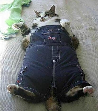 Kristinka Savlepova ツVyacheslavovna | Киев