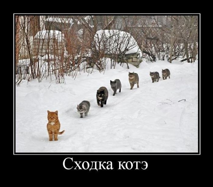 Алексей Чекаль | Днепр (Днепропетровск)