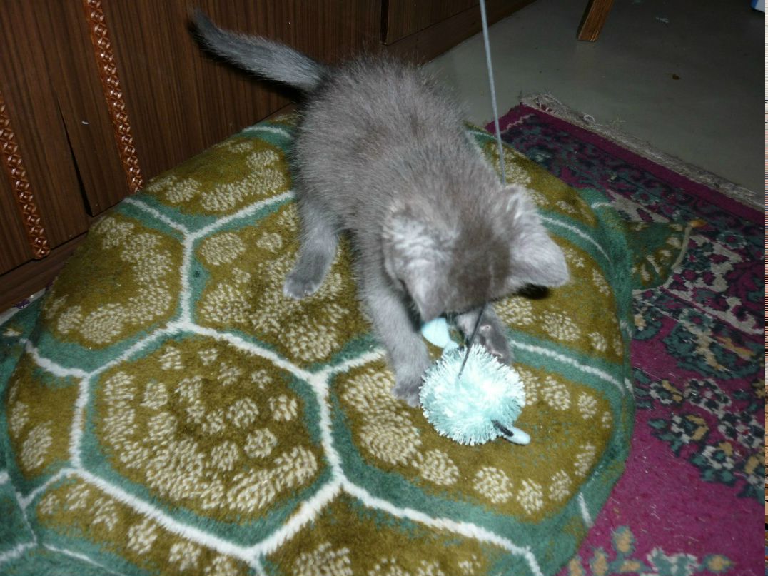 Инга Сомкина | Санкт-Петербург