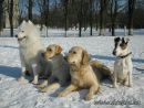 №22 Ира Без : профиль, фото, статус - ВКонтакте