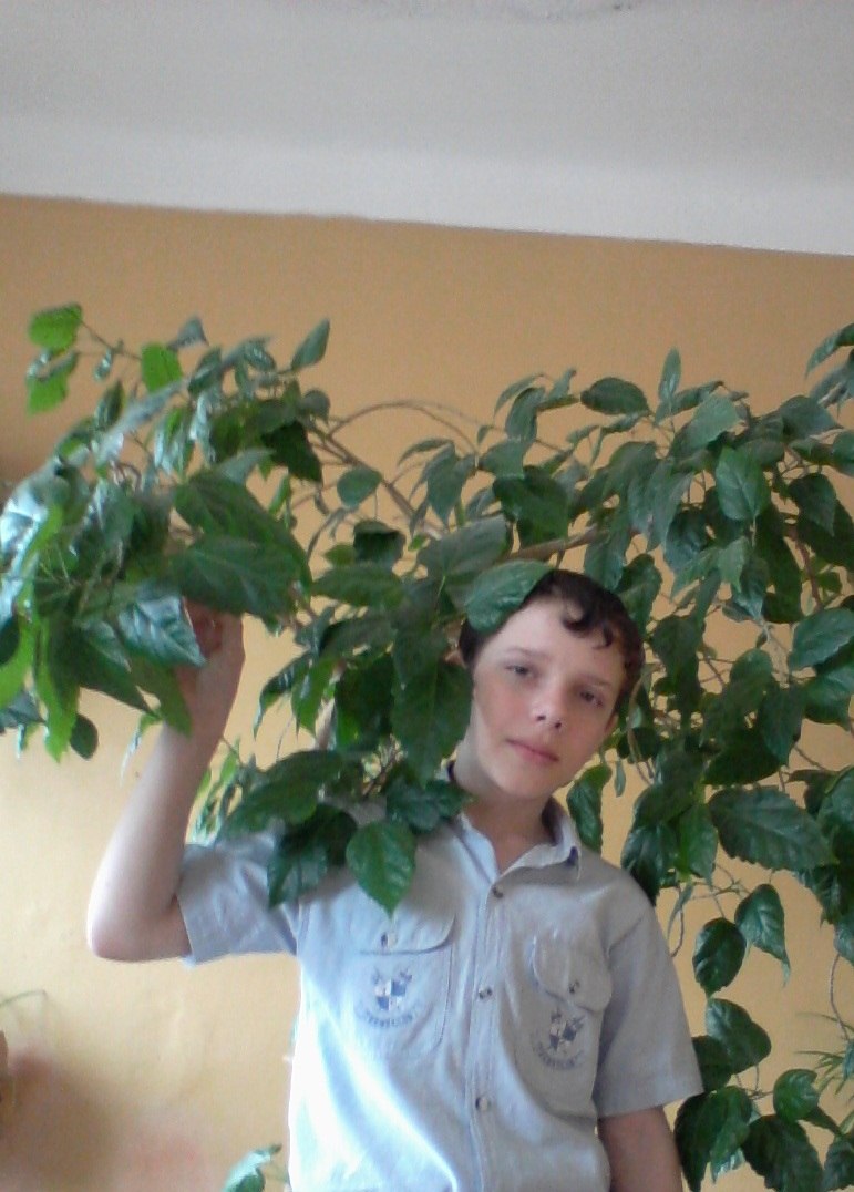 Дмитрий Бучнев | Тамбов