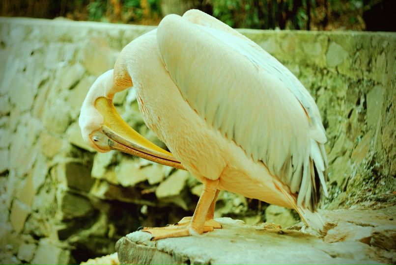 Дима Назаров | Запорожье