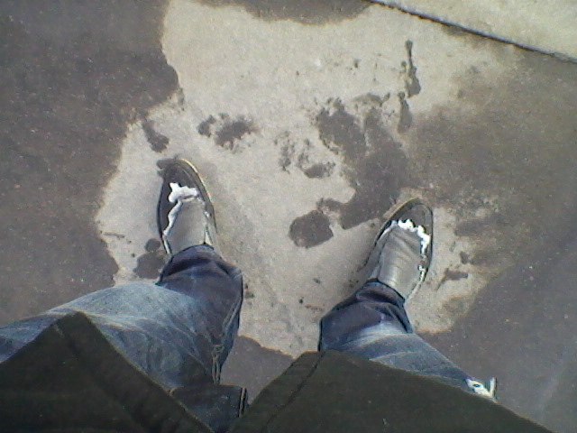 Алексей Волчек | Санкт-Петербург