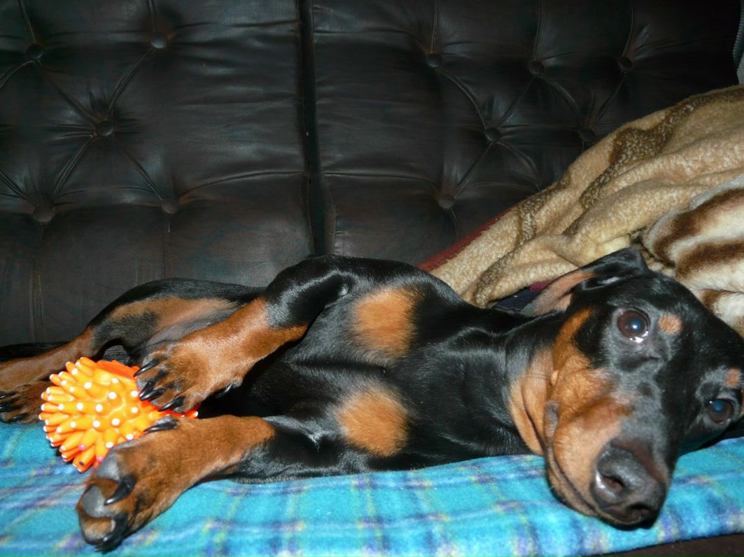 Игорь Гук Викторович | Киев