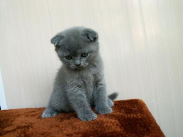 Ирина Измайлова | Одесса