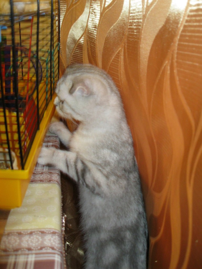 Ирина Кучина | Москва