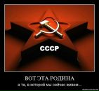 Фотография Гоги Бритыеноги