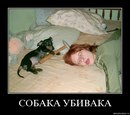 Михаил Вильчук, 38 лет, Санкт-Петербург, Россия, 07.07.1987
