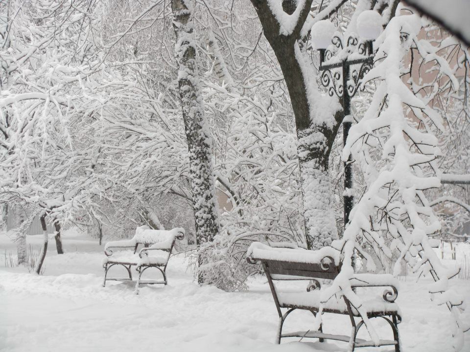 Ольга Кривошея | Киев