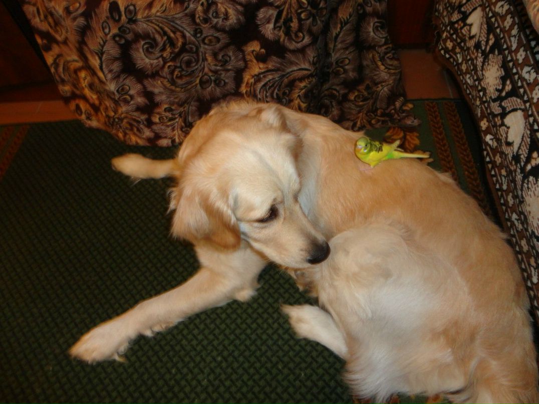 Юлия Беляева | Донецк