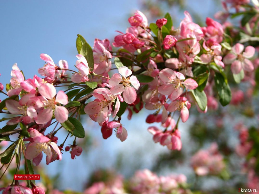 Евгения Прокофьева | Москва