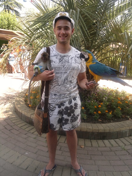 №33, Серж Новиков, Ставрополь №33, Серж Новиков, Ставрополь