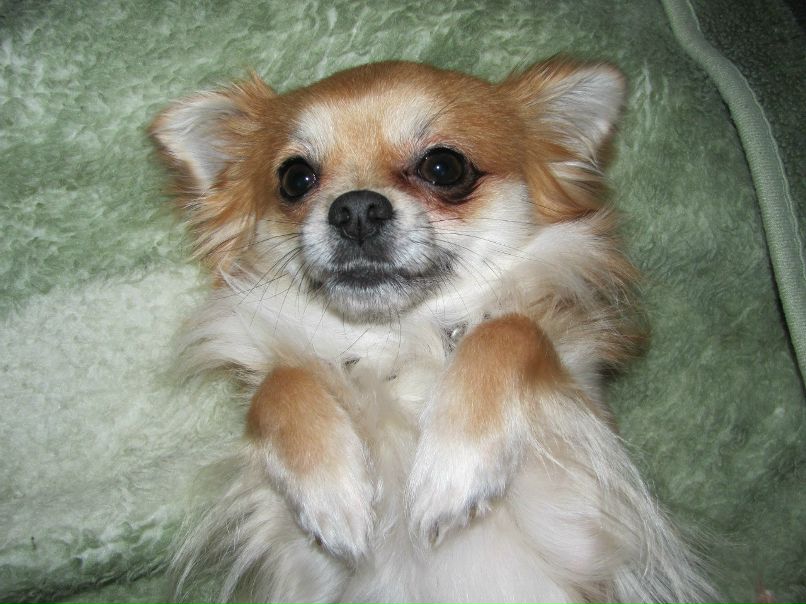 Ксения Подскребалина | Санкт-Петербург