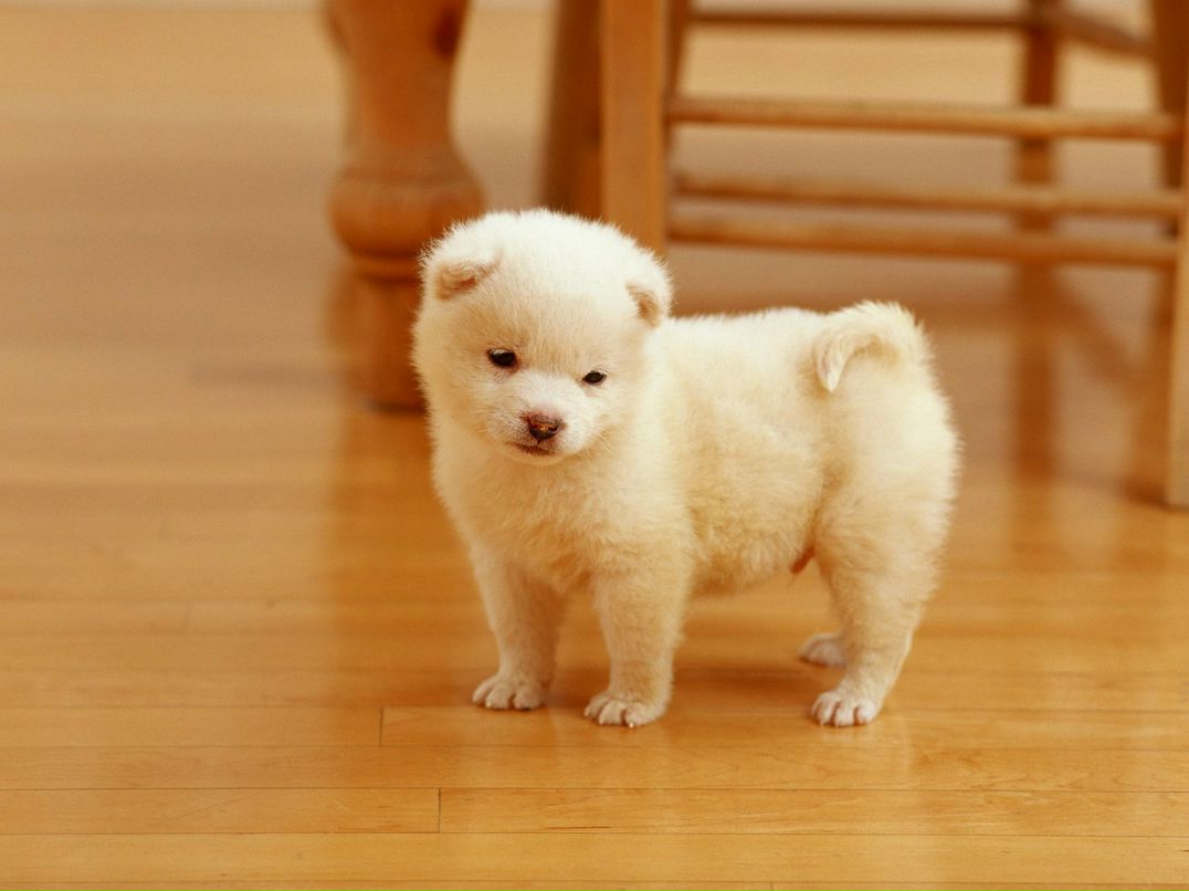 Анна Романова | Челябинск