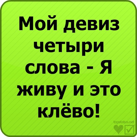 №18, Микола Середа, Львов №18, Микола Середа, Львов