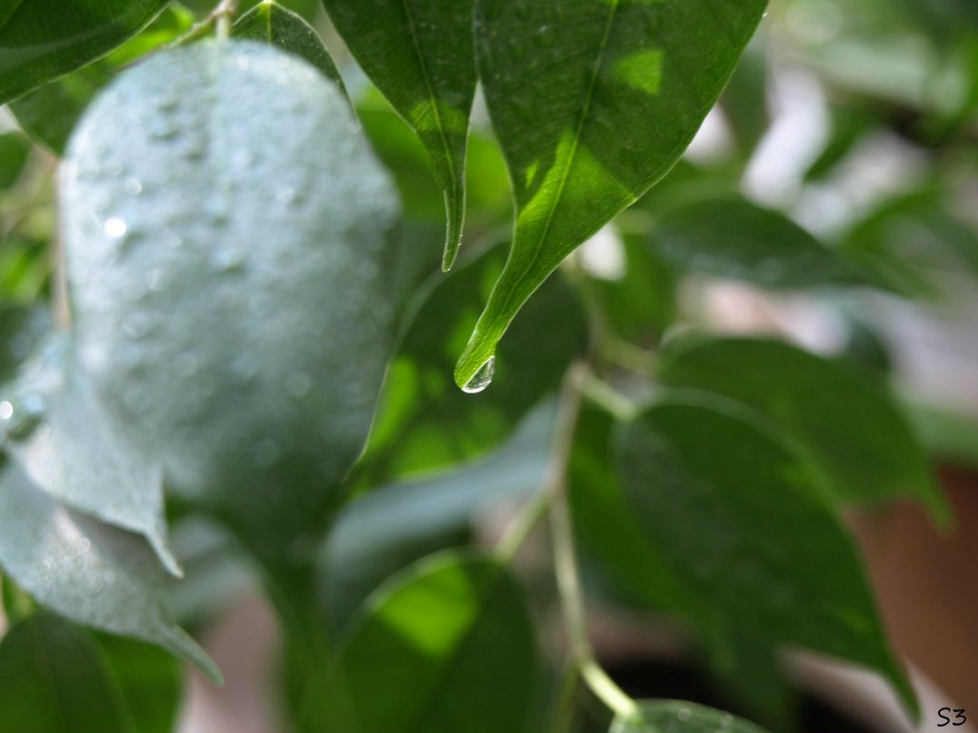 Сергей Солдатов †The bilious petty person† | Набережные Челны