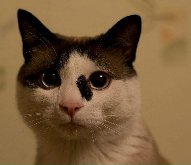 Леонид Горбовский | Торжок