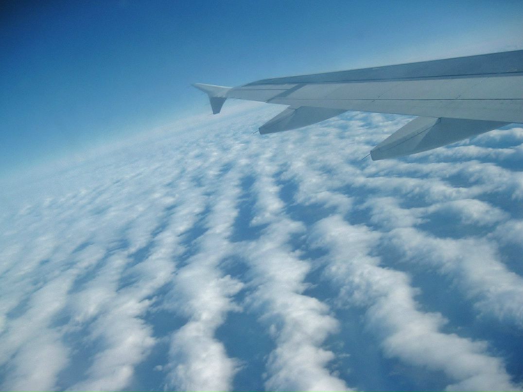 Наталья Киселёва | Томск