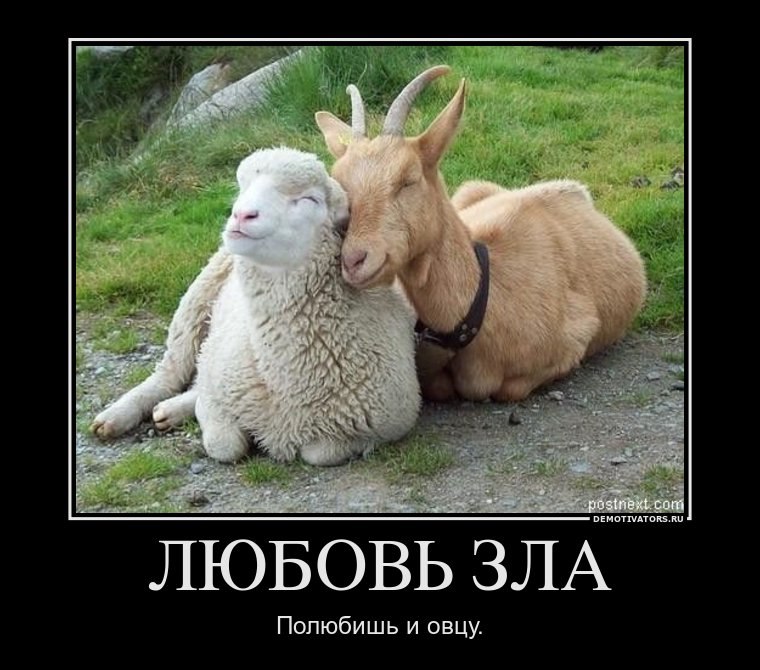 Юрий Стёпин | Тула