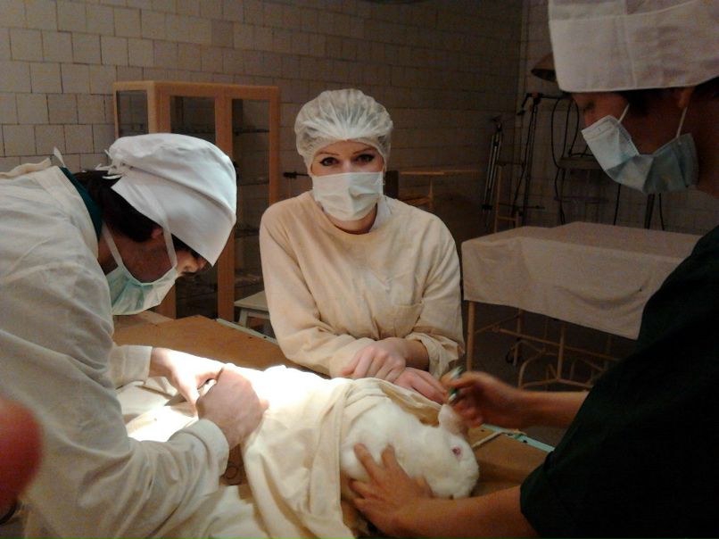 Амир Малиев | Курск