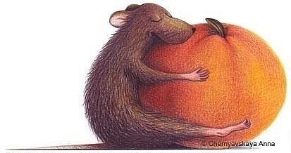 Елена Захарова | Ростов-на-Дону