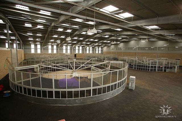 Valentyna Petrushko | Ровно