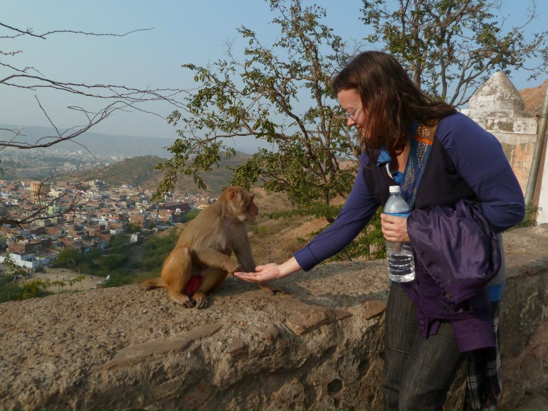 Анна Чесанова | Санкт-Петербург