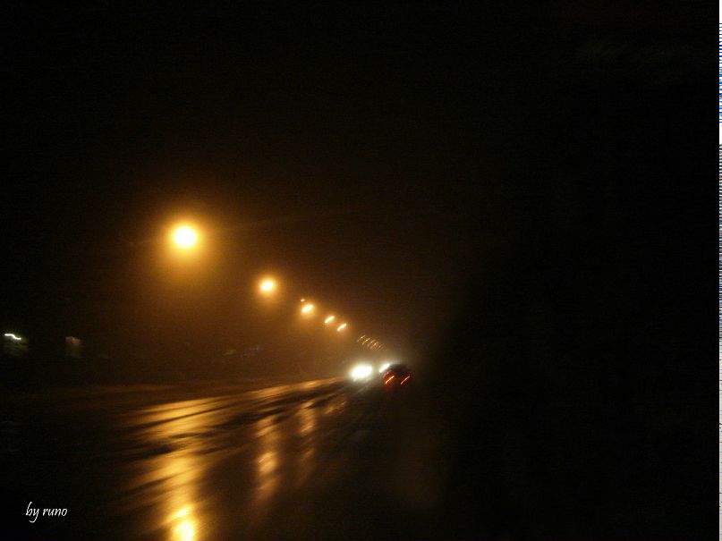 Алексей Сидоренко | Киев