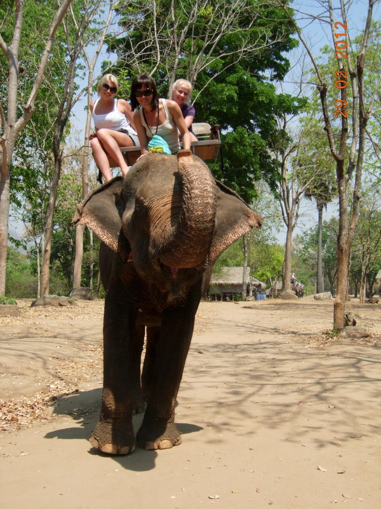 Екатерина Тимофеева | Иркутск