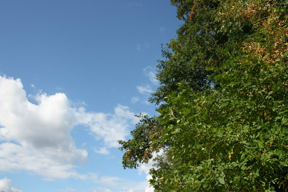 Маргарита Иванова | Москва