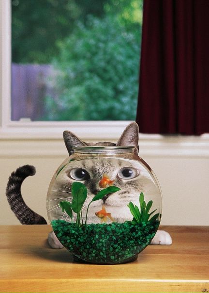 №105, Мария Созоновская, Канск №105, Мария Созоновская, Канск