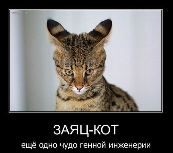 №9, Лилия Юсупова-Абдрахманова, 38 лет, Казань №9, Лилия Юсупова-Абдрахманова, 38 лет, Казань