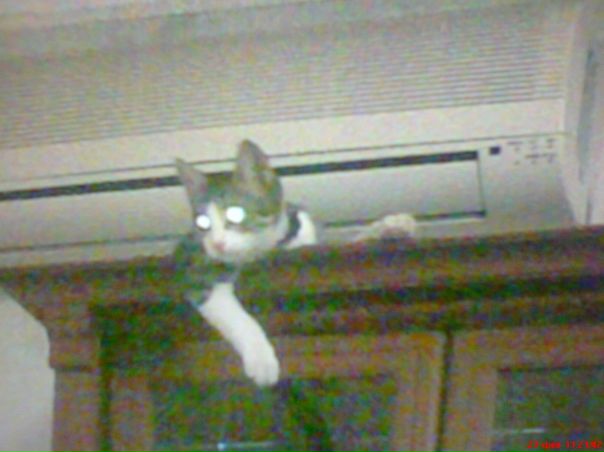 №4, Yusif Qurbanov, 31 год, Баку №4, Yusif Qurbanov, 31 год, Баку