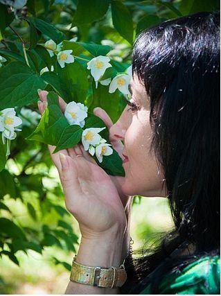 №3, Роза Ангелочек, Москва №3, Роза Ангелочек, Москва