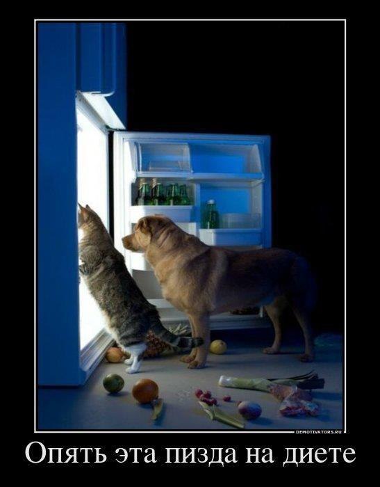 Катерина Богомазова | Санкт-Петербург