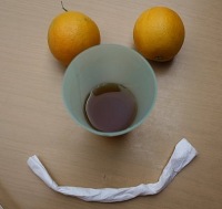 Олеся Новикова