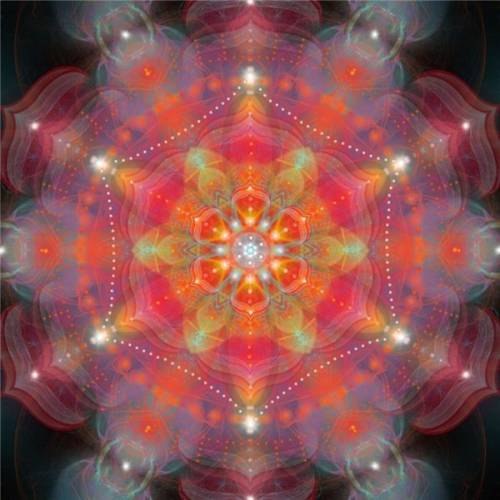 №1, Евгения Мойсеенко №1, Евгения Мойсеенко