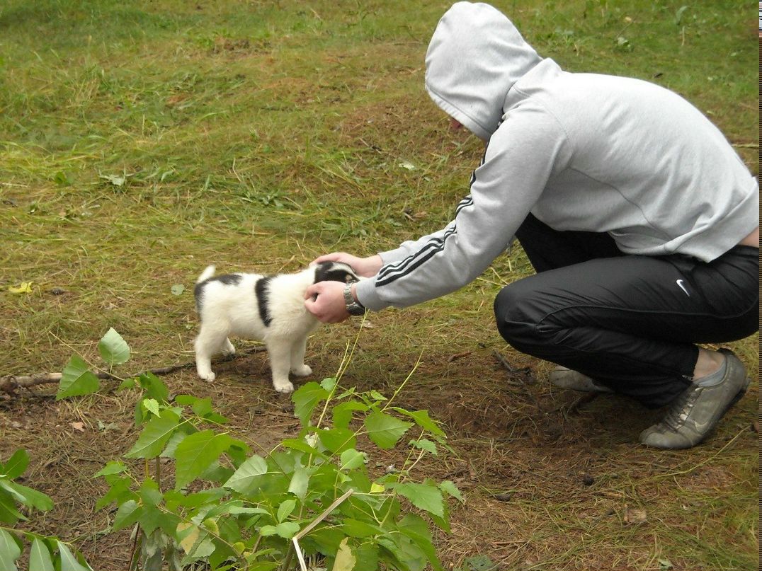 Александр Зубарев | Омск