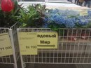 №20 Татьяна Малинковская