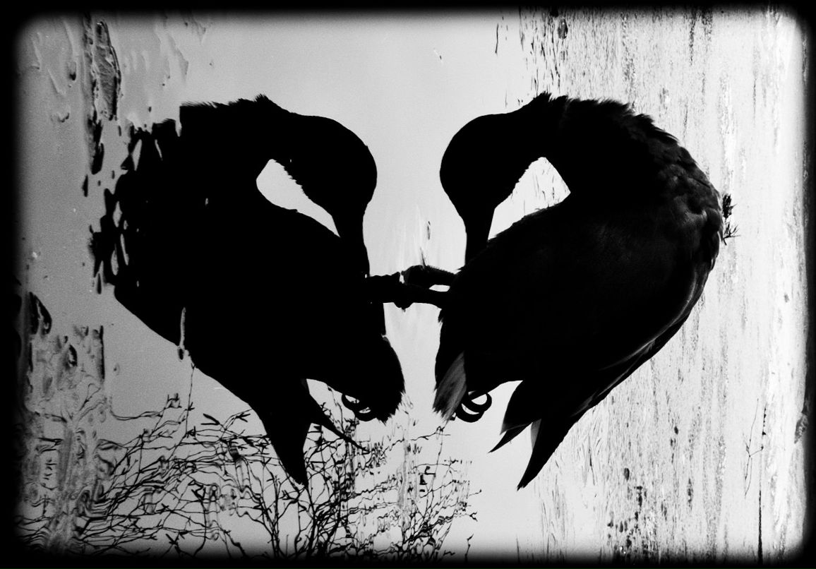 Valentin Rakkolainen | Tampere