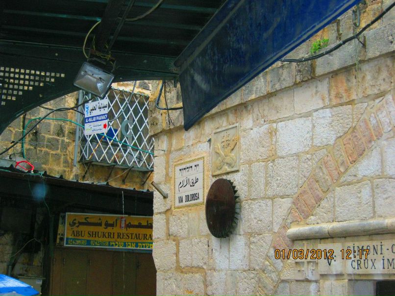 Елена Кормановская | Новосибирск